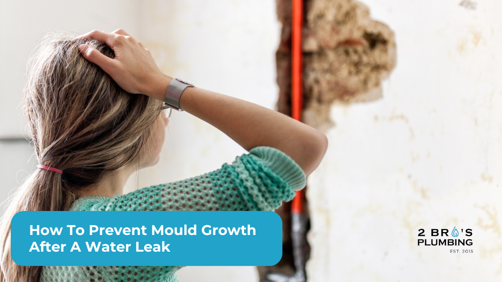 How To Prevent Mould Growth After A Water Leak