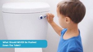 What Should NEVER Be Flushed Down The Toilet?